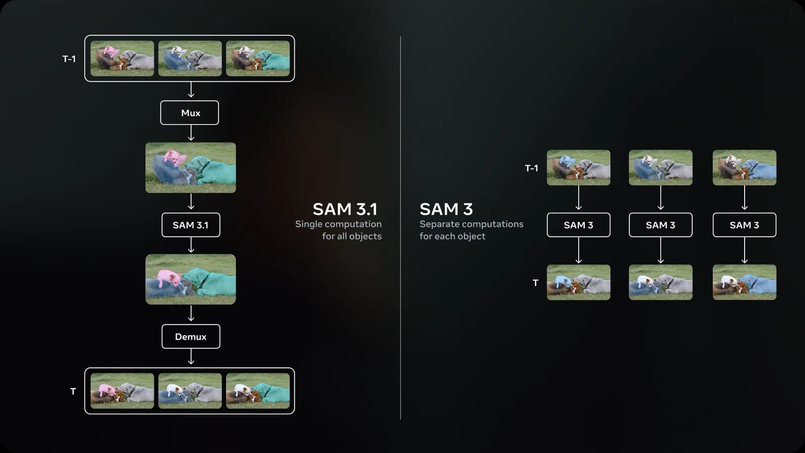 SAM 3.1 Object Multiplex demo segmenting many subjects in a single pass.